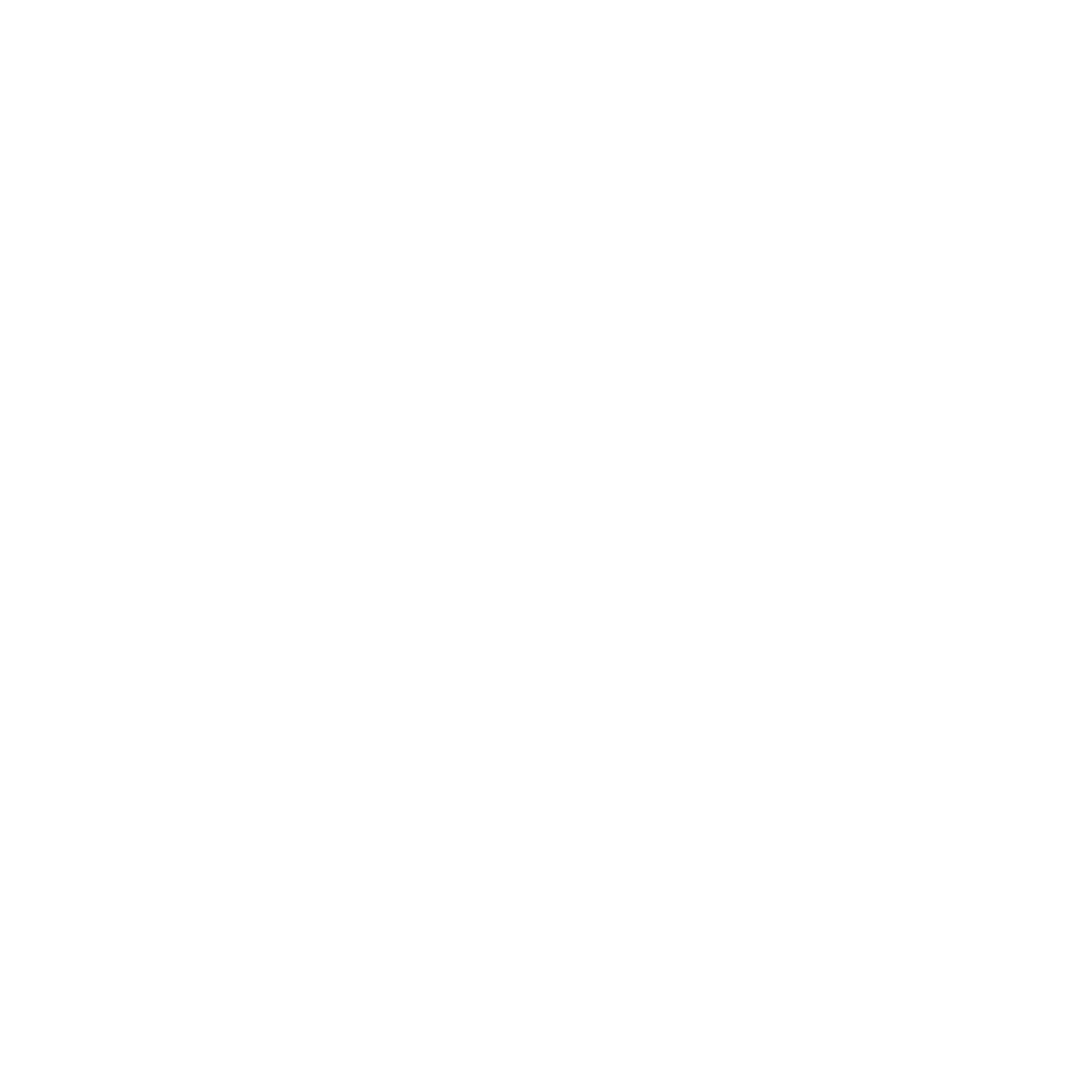 Cone Icon